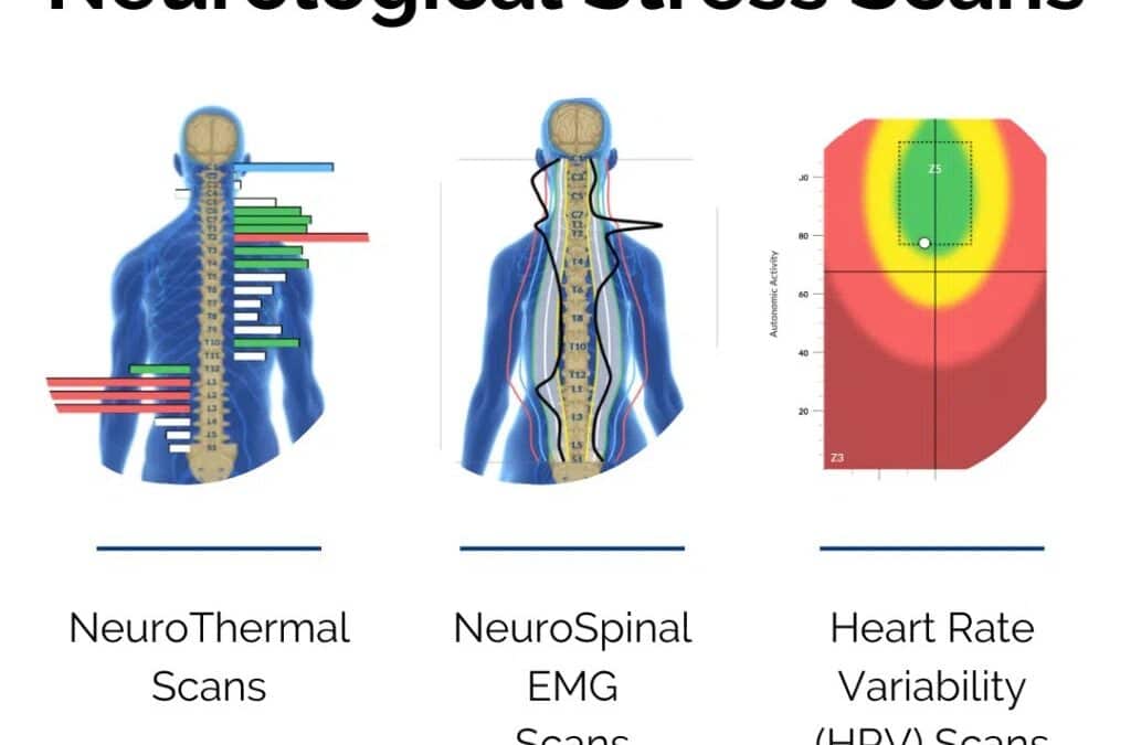 Elevating Your Family’s Wellness with INSiGHT Scans